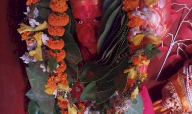 बल, बुद्धि, ज्ञान के सागर भगवान महावीर जी महाराज का मना जन्मोत्सव