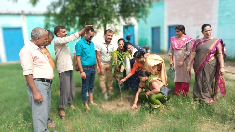 विश्व प्रवासी सामाजिक एवं सांस्कृतिक संघ द्वारा आयोजित पौधारोपण एवं सहभोज कार्यक्रम सम्पन्न