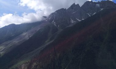 पर्यावरण दिवस विशेष : उपभोग करो और फेंको के नजरिए से बचें